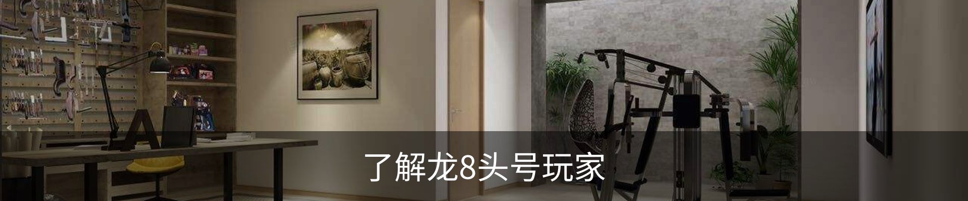 了解龙8头号玩家